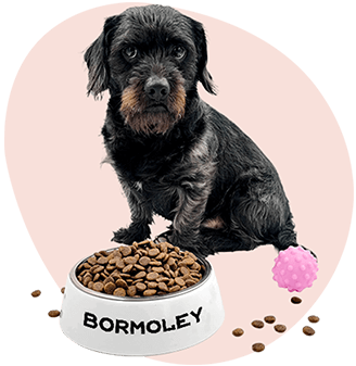 Misky a Bandany pre psa a mačku s potlačou